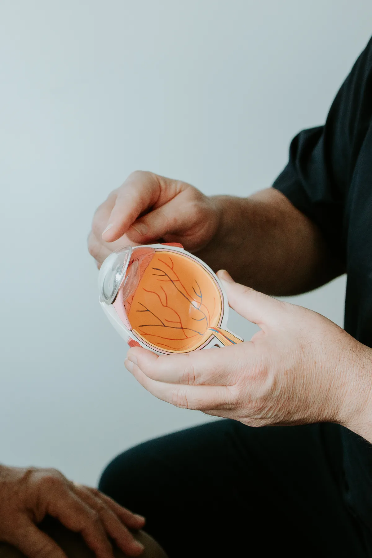 A/Prof Hunt using an eye model to explain where the lens sits at the front of the eye